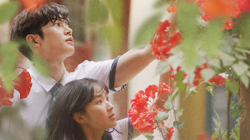 Review Drama Extraordinary You (2019): Sinopsis Lengkap, Pemain, Rating & Fakta