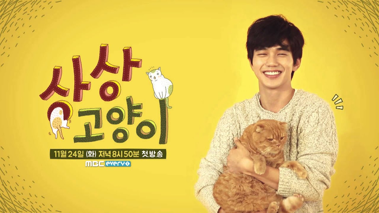 Imaginary Cat (2015) Review: Sinopsis Lengkap, Pemain, Rating Drama Hewan Peliharaan Terbaik