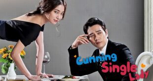 Cunning Single Lady (2014): Sinopsis Lengkap, Review, dan Daftar Pemain Drama Korea Komedi-Romantis tentang Mantan Pasangan