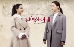 Ms. Perfect (Wanbyeokhan Anae) (2017)
