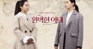 Ms. Perfect (2017): Sinopsis Lengkap, Review, dan Daftar Pemain Drama Keluarga Komedi